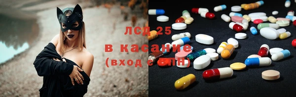 гашик Алзамай