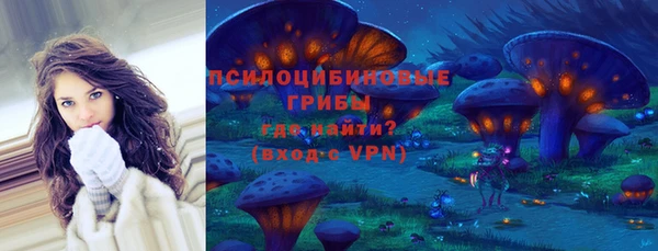 гашик Алзамай